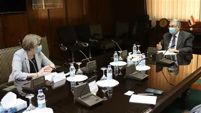 مصر وفنلندا تبحثان التعاون في مشروعات الكهرباء