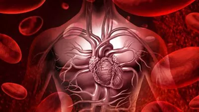 آلية دفاع طبيعية في جسم الإنسان لعلاج السرطان