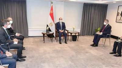 السيسي يبحث التعاون مع شركات بلجيكية في مجال إنتاج الهيدروجين الأخضر