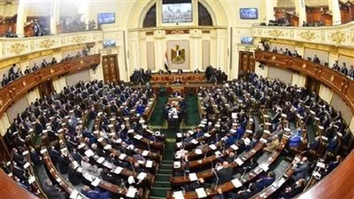 «النواب» يوافق نهائيا على تعديل قانون إنشاء صندوق تكريم الشهداء وأسرهم