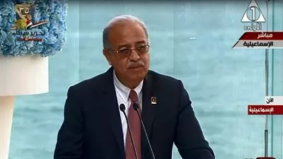 رئيس الوزراء: الدولار أصبح متاحا
