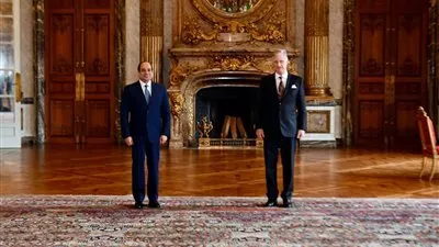 السيسي يبحث مع ملك بلجيكا تعزيز التعاون بين البلدين