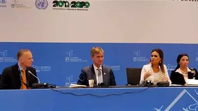 وزيرة الاستثمار تدعو الأمم المتحدة لزيادة دعم مصر فى الطاقة المتجددة