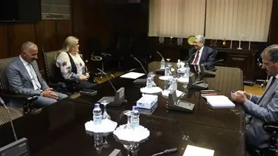 وزير الكهرباء يبحث مع سفيرة سلوفانيا بالقاهرة تعزيز التعاون المشترك