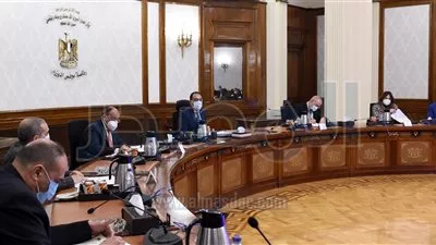 رئيس الوزراء يتابع موقف تنفيذ المشروع القومي لتطوير الريف