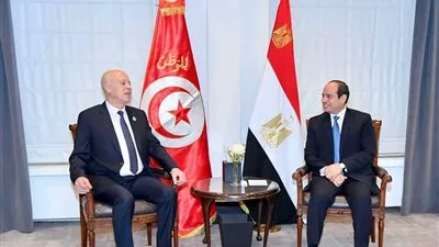 السيسي يؤكد حرص مصر علي تعزيز أطر التعاون الثنائي مع تونس