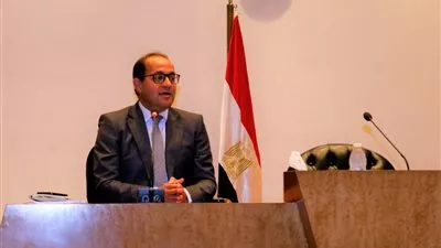 كجوك: نستهدف زيادة نسبة القطاع الخاص إلى 65% من استثمارات الدولة 