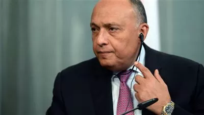 وزير الخارجية يتوجه لنيويورك لرئاسة وفد مصر في مجلس الأمن