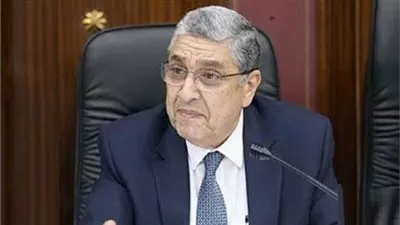 320 مليون جنيه لتطوير شبكة الكهرباء بمحافظة الفيوم   