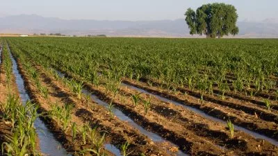 طرح 10 آلاف فدان ببئر العبد للبيع في المزاد العلني غداً