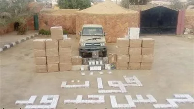 القوات المسلحة: ضبط 226 فردا أثناء محاولة هجرة غير شرعية