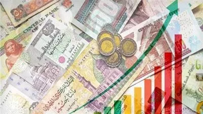 حافظ على مسار النمو.. المؤسسات الدولية تتوقع استمرار الأداء القوي لاقتصاد مصر| إنفوجراف