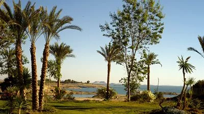 الأرصاد: طقس الغد معتدل.. والعظمى بالقاهرة 28 درجة