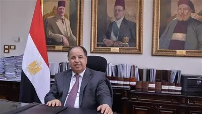 «المالية»: ضوابط جمركية جديدة مع السلع الواردة من الخارج للاستخدام «الخاص»