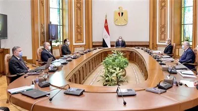 السيسى يوجه بمواصلة خطة الدولة للنهوض بمنظومة القطن المصري