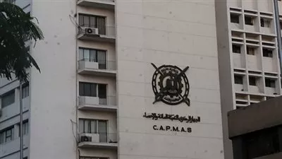 الإحصاء: انتهاء مرحلة التسجيل الذاتي للأسر إلكترونيا 