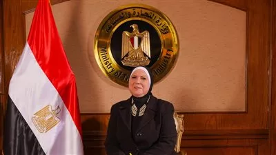 صندوق تنمية الصادرات يصدر 559 شهادة لـ 556 شركة بـ 2.5 مليار جنيه