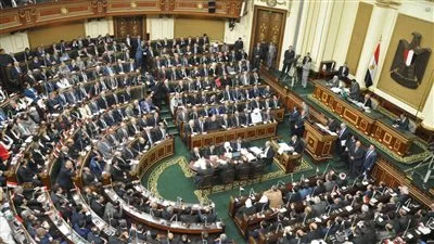 «حقوق النواب»: إدراج «حياة كريمة» ضمن الأمم المتحدة دليل جديتها