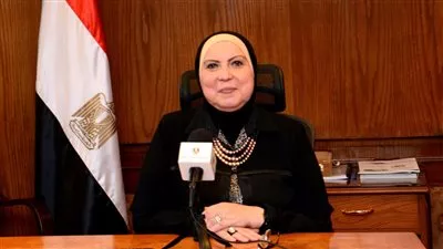 وزيرة التجارة تقرر إعادة تشكيل مجلس الأعمال المصري الجزائري