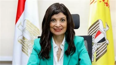 البنك المركزى: إطلاق صندوق التكنولوجيا المالية خلال الشهر الجارى