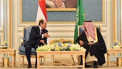 السيسي يبحث مع ملك السعودية سبل تعزيز العلاقات الثنائية بين البلدين