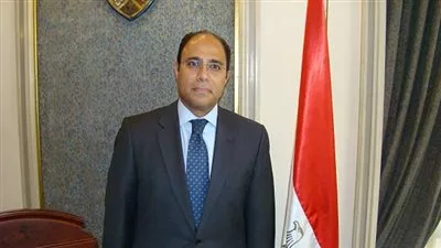 مصر تنجح في اعتماد إطار دولي بالأمم المتحدة لمكافحة الخطاب الإرهابي