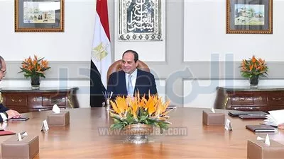 السيسى يؤكد الاستعداد لدعم 
