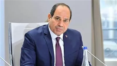 السيسى يوافق على انضمام مصر لاتفاقية منع تآكل الوعاء الضریی
