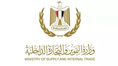 «التموين» تستكمل شحن 189 ألف طن قمح من روسيا ورومانيا وأوكرانيا