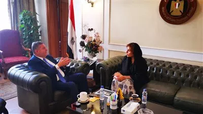 وزير قطاع الأعمال يبحث مع سفيرة الإمارات بالقاهرة تعزيز التعاون المشترك