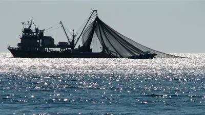 التكنولوجيا الحديثة في صيد الأسماك تعجل من انقراضه