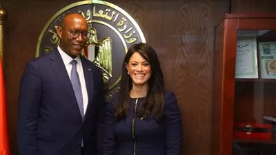 «المشاط» تبحث مع «التنمية الأفريقي» تطورات إعداد الاستراتيجية القطرية 2022-2026