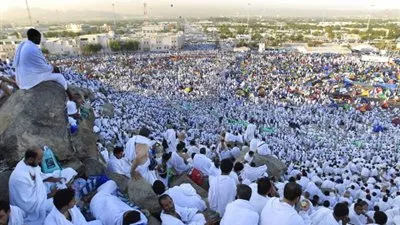 بعثة الحج : 800 حافلة لتصعيد حجاج 