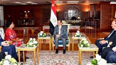 السيسي يبحث مع سكرتير 