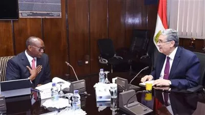 وزير الكهرباء يبحث مع وفد «التنمية الأفريقى» سبل دعم التعاون المشترك