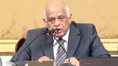 مجلس النواب ينعي ضحايا الطائرة المنكوبة