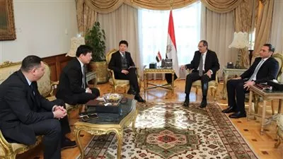 وزير الاتصالات يبحث آليات التعاون مع وفد 