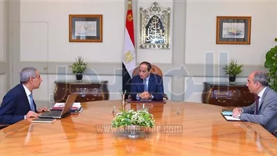 السيسي يوجه بسرعة إنشاء الشركة 