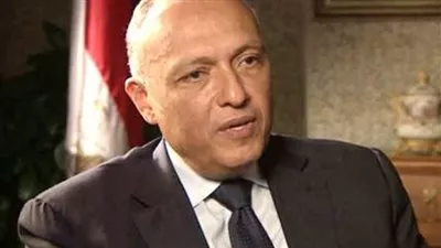 وزيرالخارجية يلتقى 