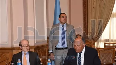 شكري يستقبل وفد مجلس الأمن بوزارة الخارجية 