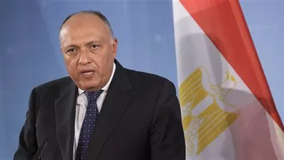شكري: ليس لدينا القدرة التقنية الكافية للبحث عن حطام الطائرة