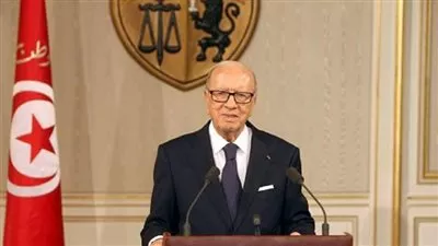 الرئيس التونسي يصل مطار القاهرة للقاء 