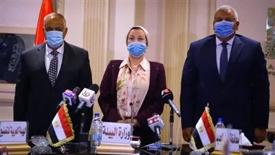 إنشاء مصنع لإنتاج خشب «MDF» من مخلفات النخيل بالوادى الجديد