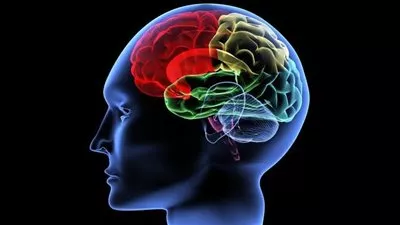 دراسة: الكد في العمل يكسبك عقلًا سليما وذاكرة أفضل