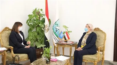 الأمم المتحدة: مصر نموذج ملهم للدول في مجال التخفيف من آثار التغيرات المناخية