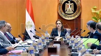 شريف إسماعيل يكلف منى زوبع برئاسة الهيئة العامة للاستثمار