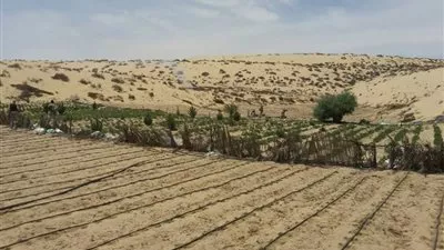 القوات المسلحة: تدمير 8 مزارع بانجو وسيارة مفخخة بشمال سيناء