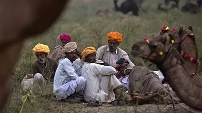 جمل يفتك بصاحبه من شدة الحر