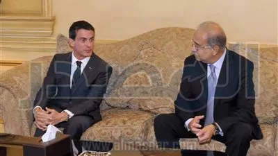 بالصور.. رئيس