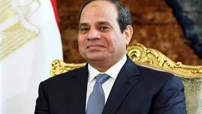 السيسي يعتمد حركة الترقيات بوزارة الخارجية